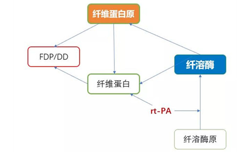“消失”的纤维蛋白原