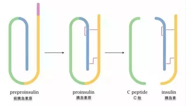 专1.jpg