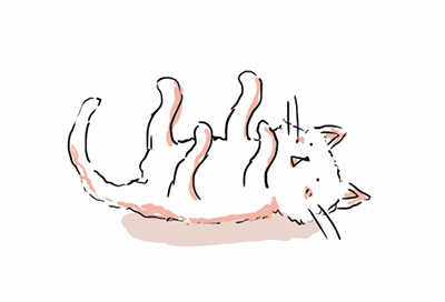 5.gif