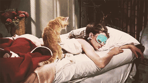 10.gif