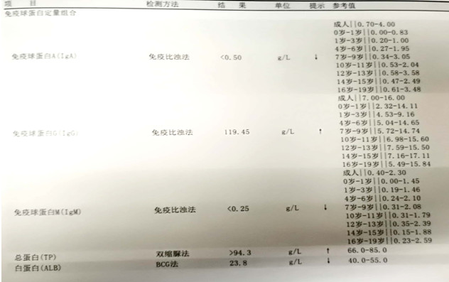 28.jpg