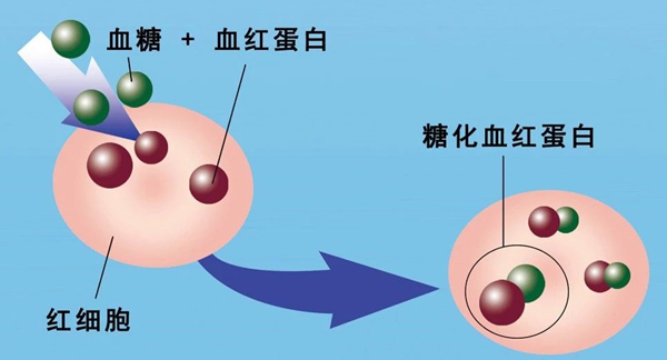 3_副本.jpg