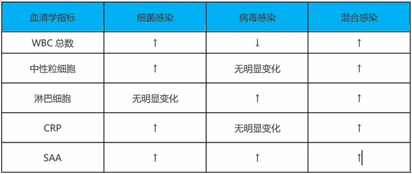7_副本.jpg