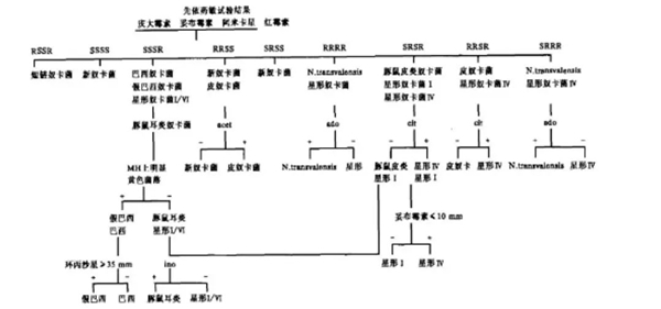 11_副本.jpg