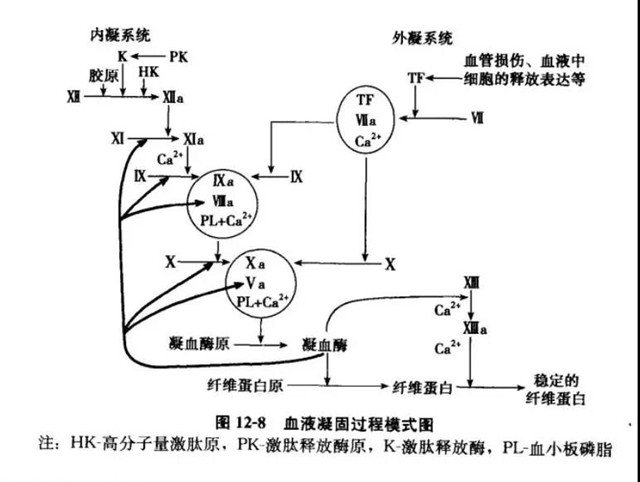 7_副本.jpg