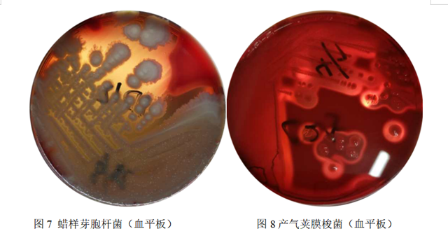 6_副本.png